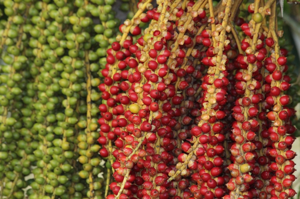 12 Years of Wine Sales Linked to Environmental&nbsp;Outcomes